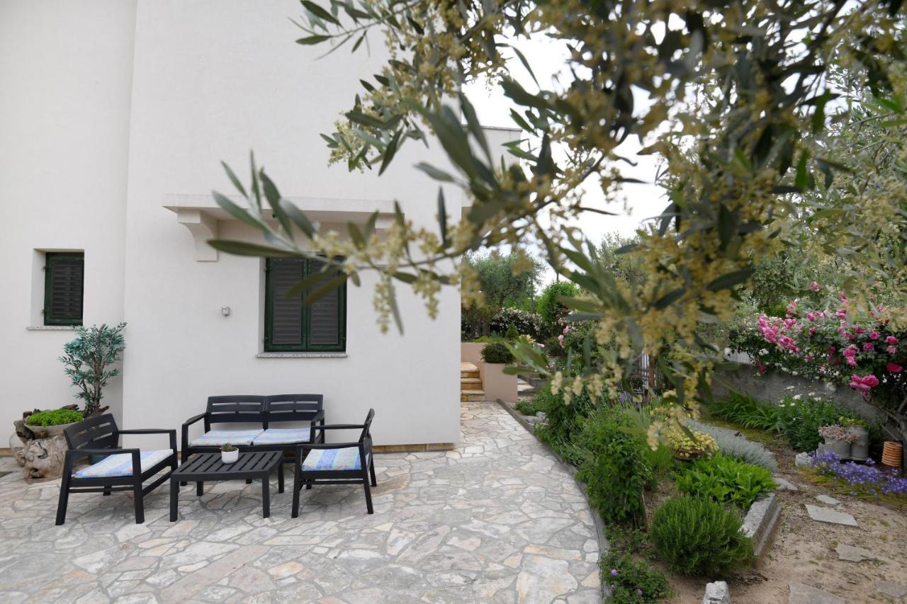 Apartment Rose Zadar