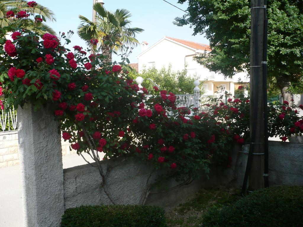 Apartment Rose Zadar